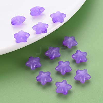 Transparent Acrylic Beads MACR-S373-26E-01-1