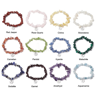 12Pcs 12 Styles Constellations Guardian Gemstone Stretch Bracelets BJEW-JB11147-1