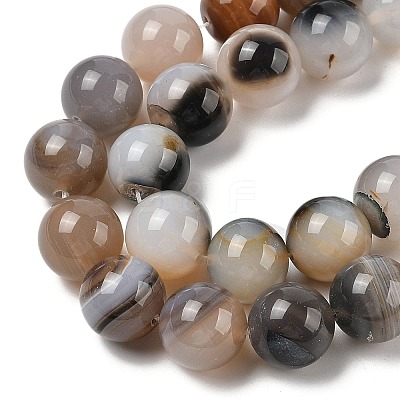 Natural Dendritic Agate Beads Strands G-A248-A07-06-1
