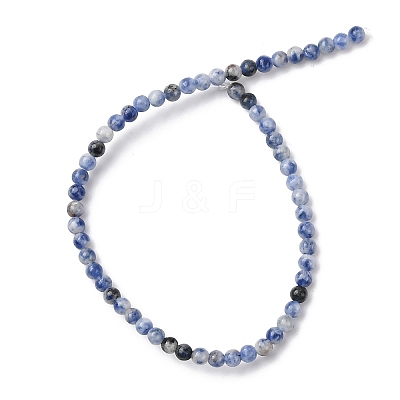 Natural Blue Spot Jasper Beads Strands G-Z116-A02-3mm-1