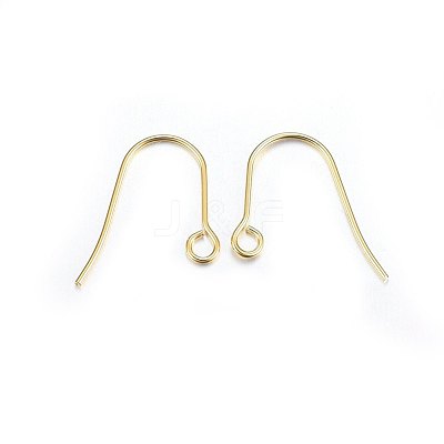 304 Stainless Steel Earring Hooks X-STAS-P210-21G-1