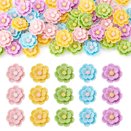 50Pcs 5 Colors 3D Opaque Resin Cabochons RESI-TA0005-02-1