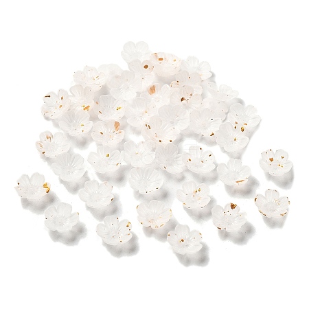 Acrylic Bead Caps OACR-Z028-03H-1