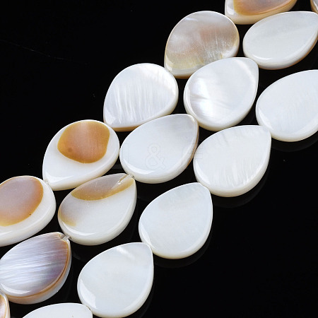 Natural Freshwater Shell Beads Strands SHEL-S278-068-1