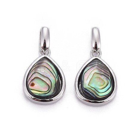 Natural Abalone Shell/Paua ShellCharms BSHE-F011-03B-P-1