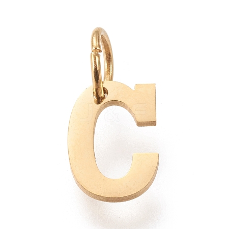 304 Stainless Steel Pendants LS-STAS-M276-A24-1