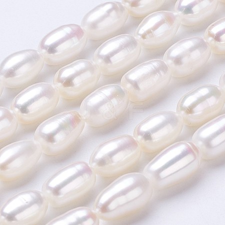 Natural Cultured Freshwater Pearl Beads Strands PEAR-P002-23-1