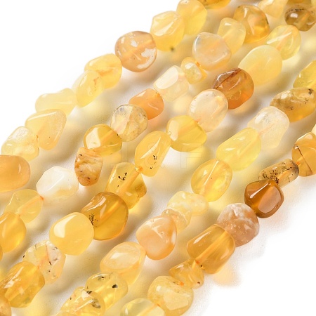 Natural Yellow Opal Beads Strands G-P497-01C-37-1