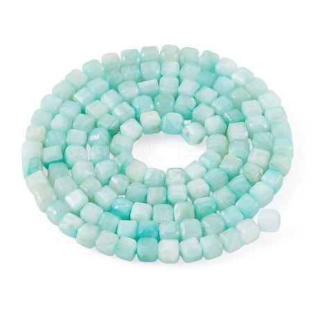 1 Strand Natural Freshwater Shell Dyed Beads Strands SHEL-TA0001-44A-1